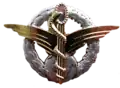 Air Force Flight Nurse
