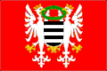 Flag of Březnice