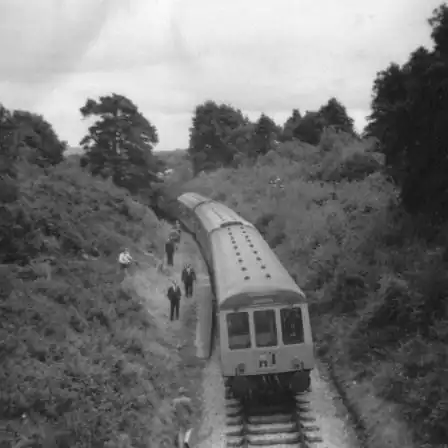 The train at Brimley Halt.