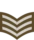 Sergeant (Antigua and Barbuda Regiment)[49]