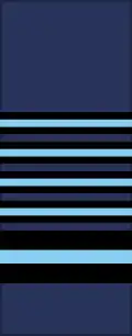 Marshal of the RAF sleeve insignia