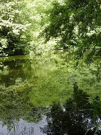 Image 23 Credit: O1ive Brockhill Country Park is dominated by a large grassy valley, bisected by the Brockhill Stream as it makes its way to the Royal Military Canal at Hythe. More about Brockhill Country Park... (from Portal:Kent/Selected pictures)