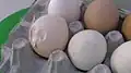 Thin-shelled egg