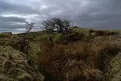 A darkly-lit image of a grassy hill rising above a depression. Long grass is growing in the foreground, and two leafless, gnarled trees are growing in the background. Sunlight is breaking through gaps between storm clouds in the sky.
