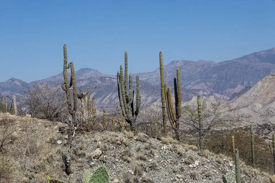Habitat in Huarpa, Peru