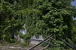 Bryant's Grocery (2018). By 2018, the store was described as "not much left" and given owner's demands, no preservation occurred.[248]