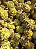Durio kutejensis fruit from Kuala Kurun, Gunung Mas Regency, Central Kalimantan, Indonesia
