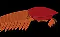 A reconstruction of the hurdiid radiodont Buccaspinea cooperi.