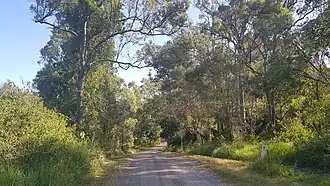 Buckley Road, 2022