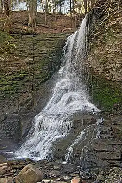 Bucktail Falls, Spafford Valley