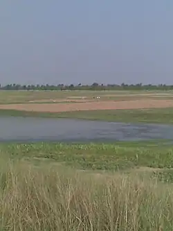 Budhi Gandak river bank Ojhilpur in Mehsi