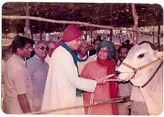 Ongole Bull reared by Sri D. T. Moses at Pernamitta after winning the Andhra Pradesh State Award in 1988 with Sri N.T. Rama Rao (green turban) then Chief Minister of Andhra Pradesh and Sri Balaram Jhakar (red turban) then Agricultural Minister, Government of India.