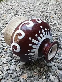 An image of a bummadiya