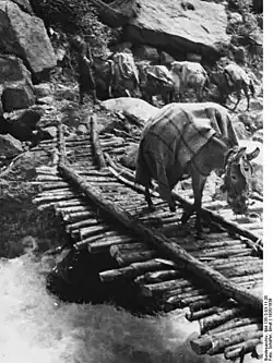 A convoy of mules crossing a wooden footbridge (1938)