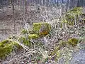 The last stones of the old castle on the eastern rock