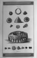 Gold and amber ornaments and ceramic incense burner from Normanton Down[74][75]