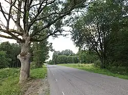 Bus stop in Lähevere, 2024