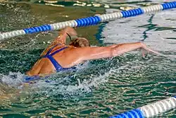 Butterfly stroke, shortly before the arms enter the water at the end of the recovery; view from behind