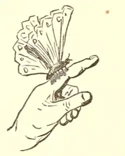 An upward pointing hand with a butterfly perched on the index finger