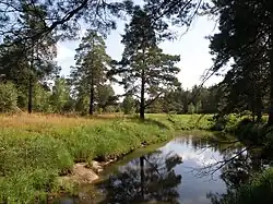 Buzha River