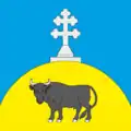 Flag of Bychkivtsi