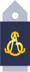 Cadet