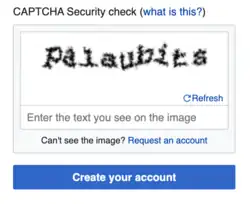 A computer CAPTCHA test