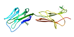 Visualization of the CD58 crystallized protein from the PDB identifier 1CCZ