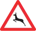 1.24 Wild animals crossing