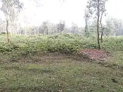 Chaprakot Mound, Badarganj