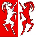Flag of Anniviers