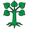 Flag of Auw