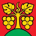 Flag of Bühl bei Aarberg