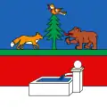 Flag of Bassins