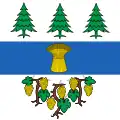 Flag of Begnins
