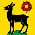 Flag of Belfaux