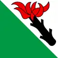Flag of Belpberg