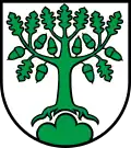Coat of arms of Bergdietikon