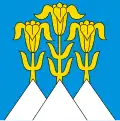 Flag of Blumenstein