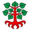 Flag of Bollodingen