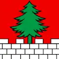 Flag of Bottenwil