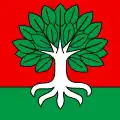 Flag of Buchholterberg