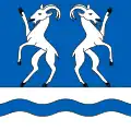 Flag of Capriasca