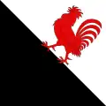 Flag of Châtonnaye
