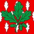 Flag of Chêne-Bourg