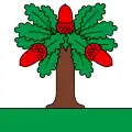 Flag of Chêne-Pâquier