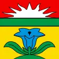 Flag of Champoz