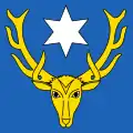 Flag of Combremont-le-Petit