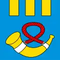 Flag of Court