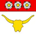 Flag of Düdingen